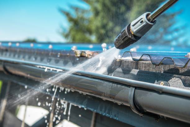 Best Roof Pressure Washing  in Douglas, MI