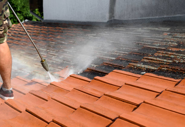 Best Deck Cleaning Services  in Douglas, MI