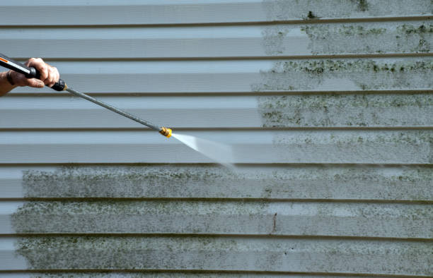 Best Sidewalk Pressure Washing  in Douglas, MI