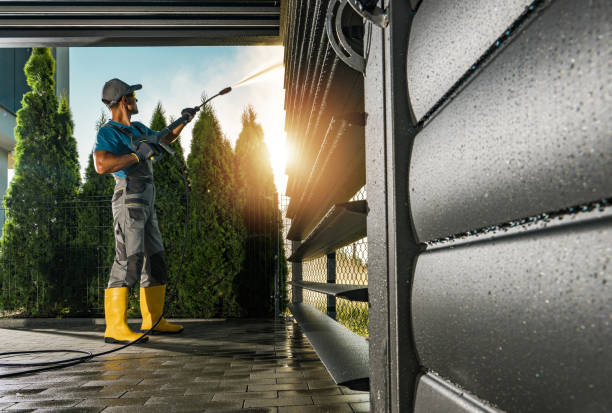 Best Exterior Home Cleaning  in Douglas, MI
