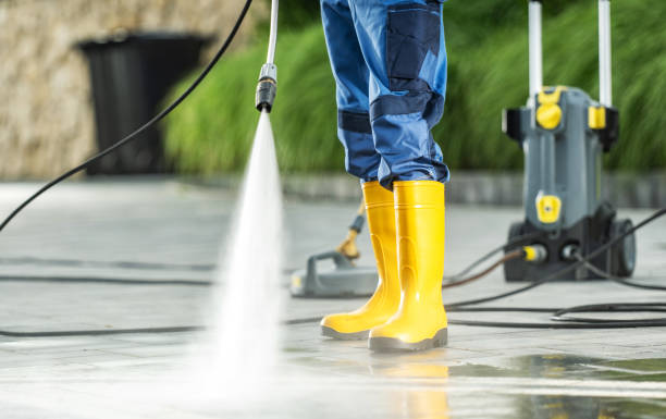 Best Deck Cleaning Services  in Douglas, MI