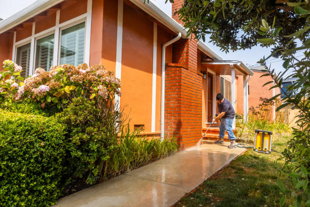 Best Affordable Pressure Washing  in Douglas, MI