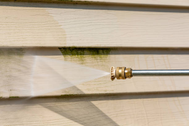 Best Pressure Washing Siding  in Douglas, MI