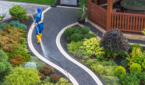  Douglas, MI Pressure Washing Pros